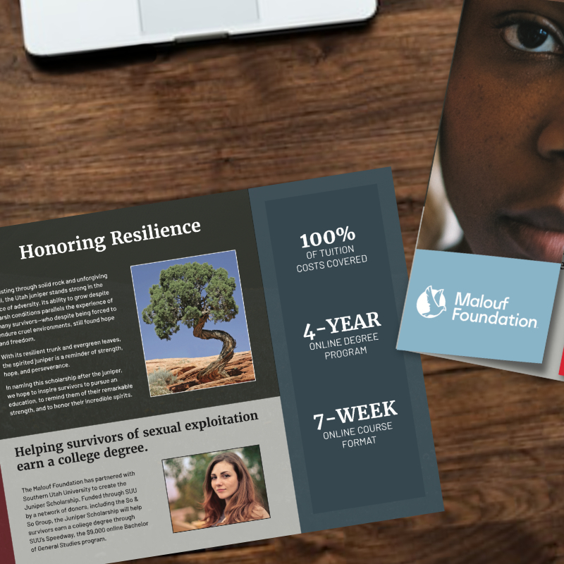 Brochure for university partnership